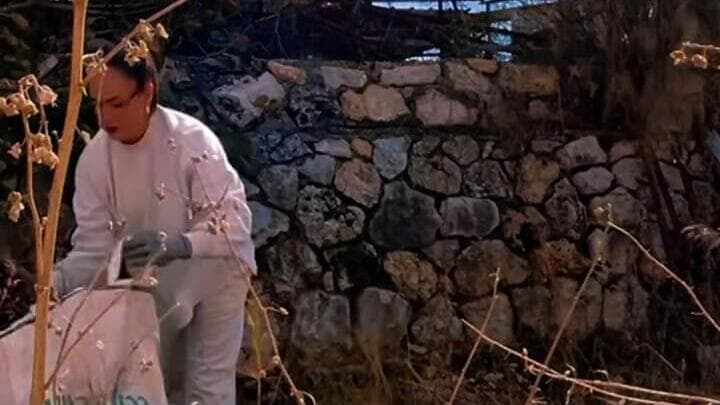 תושבי הצפון תיעדו את חזרתם הביתה ברשתות החברתיות