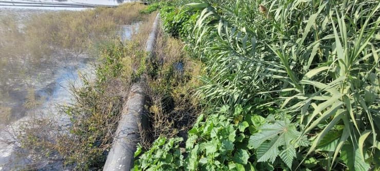 הזיהום החל לפני יותר מחצי שנה