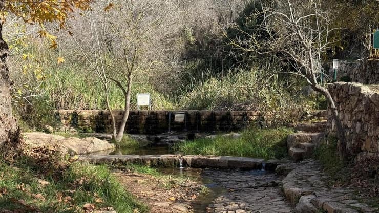 גן לאומי עין חמד