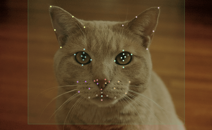 צילום: אוניברסיטת חיפה, מתוך המחקר