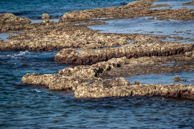 טבלאות גידור, בית משכנו של הצינוריר