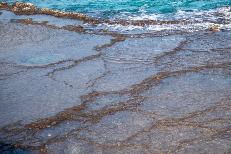 טבלאות גידור באחד מחופי הים התיכון