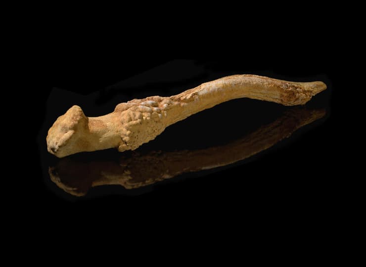 קרן אייל מהאולם הנסתר במערת מנות