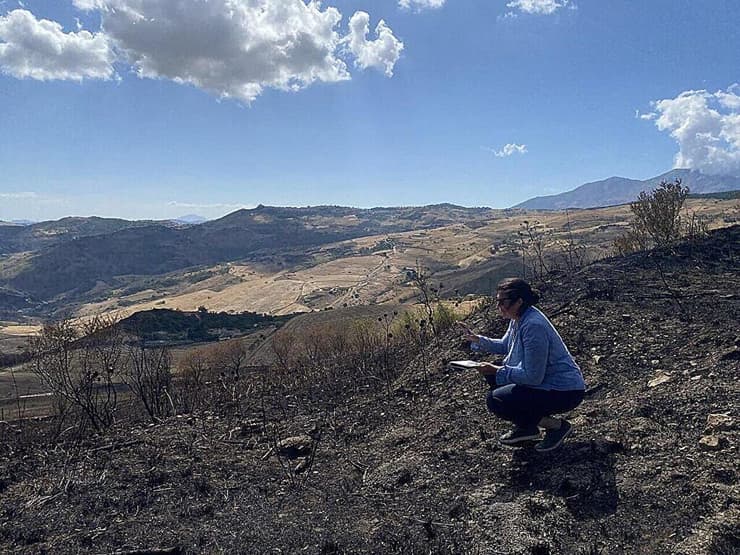 לורן פירסון סוקרת שטח שנשרף בסיציליה