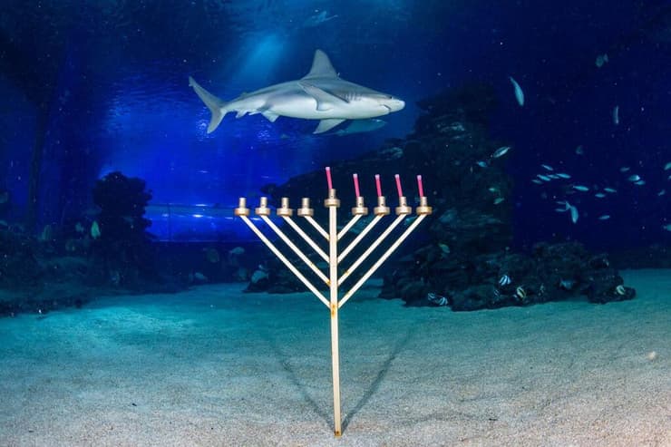 נר רביעי של חנוכה מתחת למים