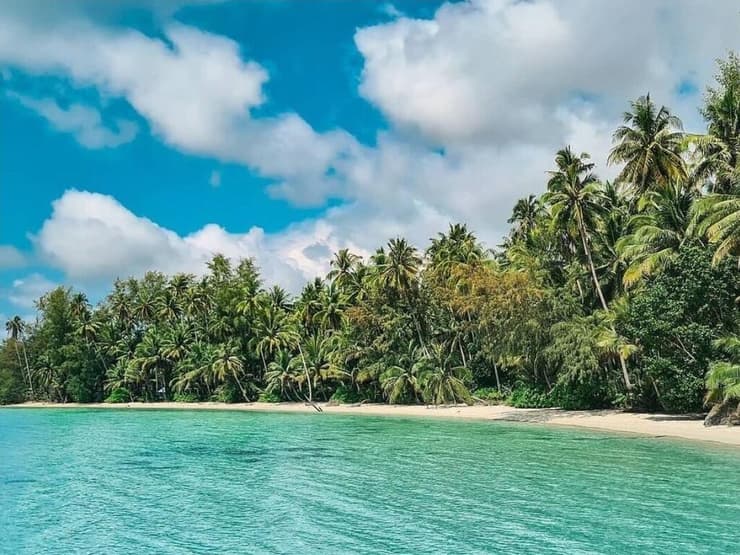 צילום: אליה וינברג האי קו קוד