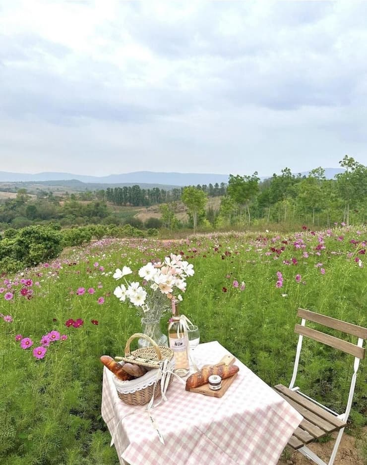 יעד מיוחד ביותר (צילום: אליה וינברג) קאו יאי