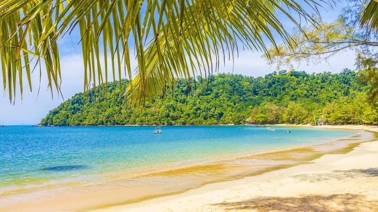 פאיאם שלום (צילום: אליה וינברג) האי פאיאם