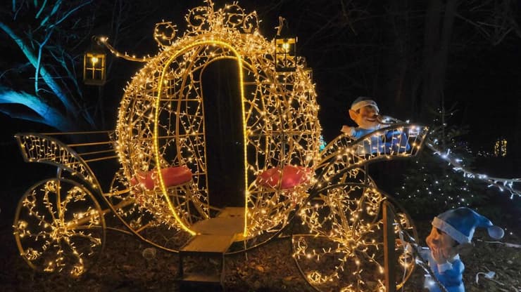 תערוכת האורות בגן הבוטני