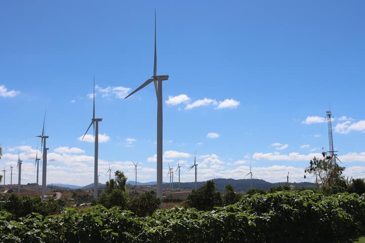 צילום: אליה וינברג קאו קו