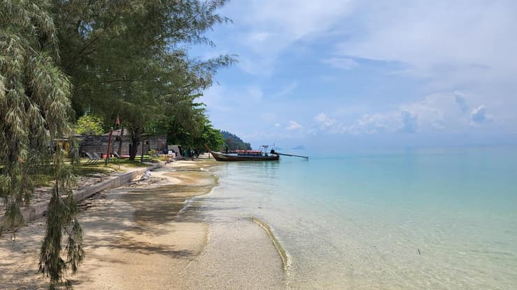 צילום: אליה וינברג האי נאי