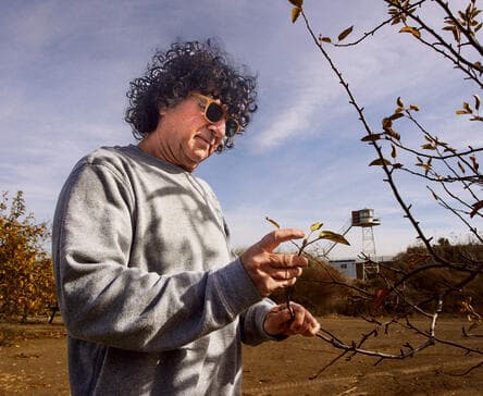 אלכס קודיש. "שלא תחשוב שנהייתי מתנחל" | צילום: גיל נחושתן yk14183870