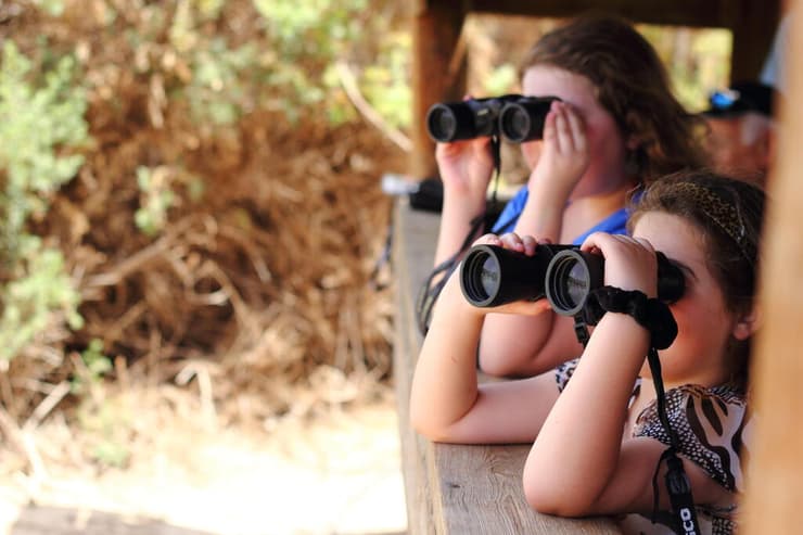 הדרכת צפרות 