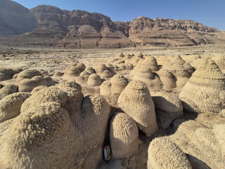 מבט מכיוון הים אל המדבר (צילום: אסף קמר) חוף הקרמבואים