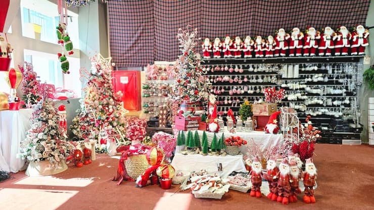 כריסמס בנוף הגליל