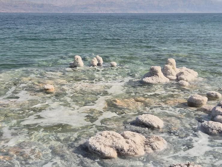 "קרמבואים" מבצבצים מהמים (צילום: אסף קמר) חוף הקרמבואים