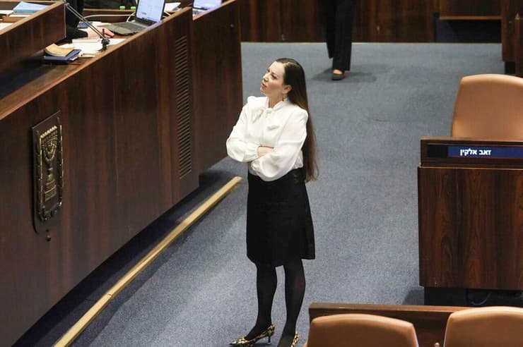 גוטליב. "אין אנשי ימין אמיצים לעמוד בראשות השב"כ? צריך DNA מיוחד" (צילום: דני שם טוב, דוברות הכנסת) הצבעה ראשונה על התקציב במליאת הכנסת