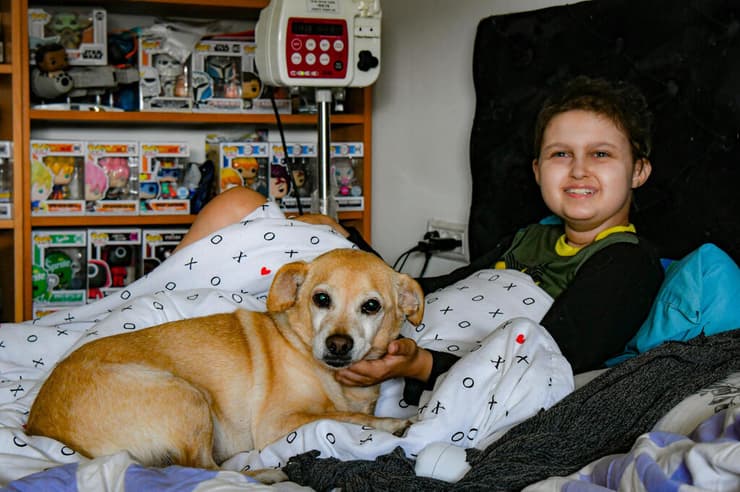 אלון רבינוביץ