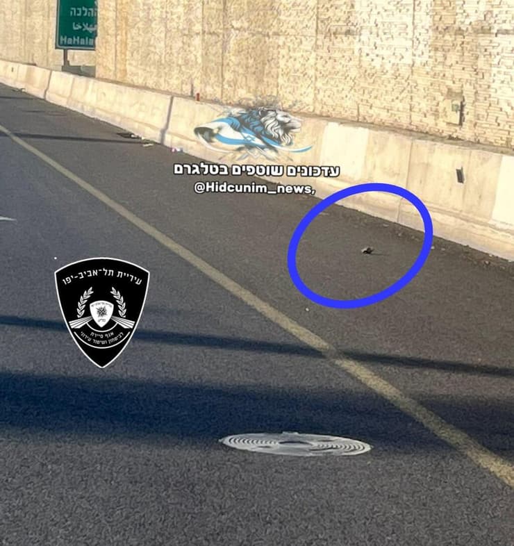 הפקק והחסימה באיילון