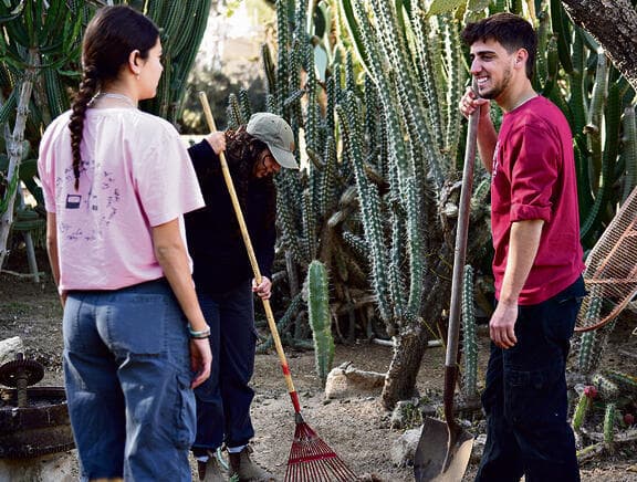 צילום: תומר שונם לוי yk14189538