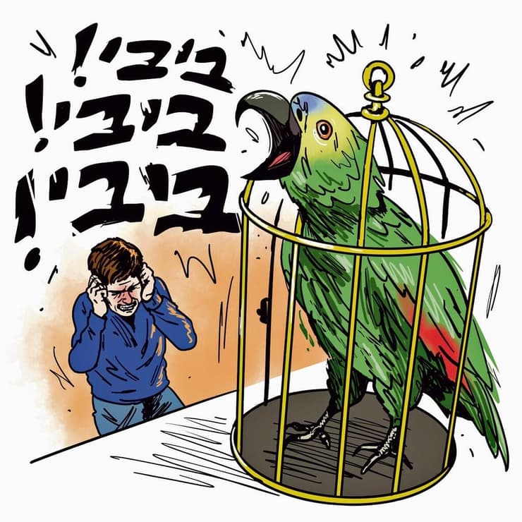 איור: גיא מורד