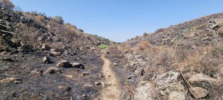 נזק שהוסב לשמורת הטבע יהודיה