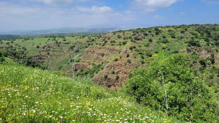 שמורת הטבע יהודיה לפני המלחמה