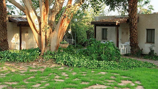 בית הארחה בקיבוץ קליה (צילום: זיו צרסר מ.א תמר) בית הארחה בקיבוץ קליה