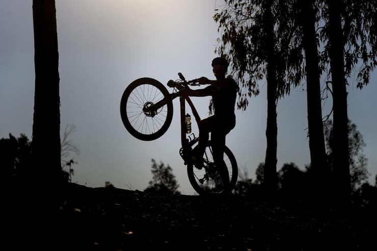 אור מאירוביץ'