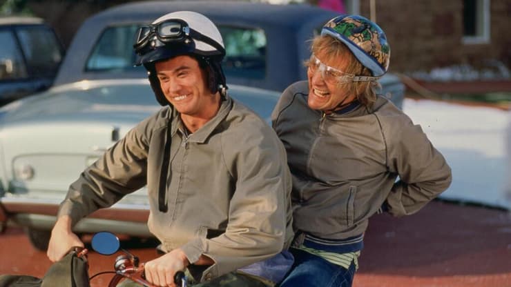 מתוך "טיפשים בלי הפסקה"