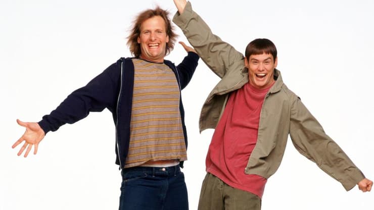 מתוך "טיפשים בלי הפסקה"