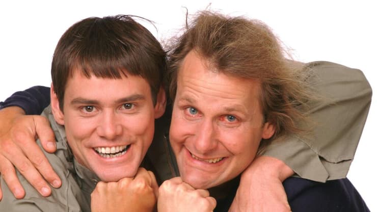 מתוך "טיפשים בלי הפסקה"