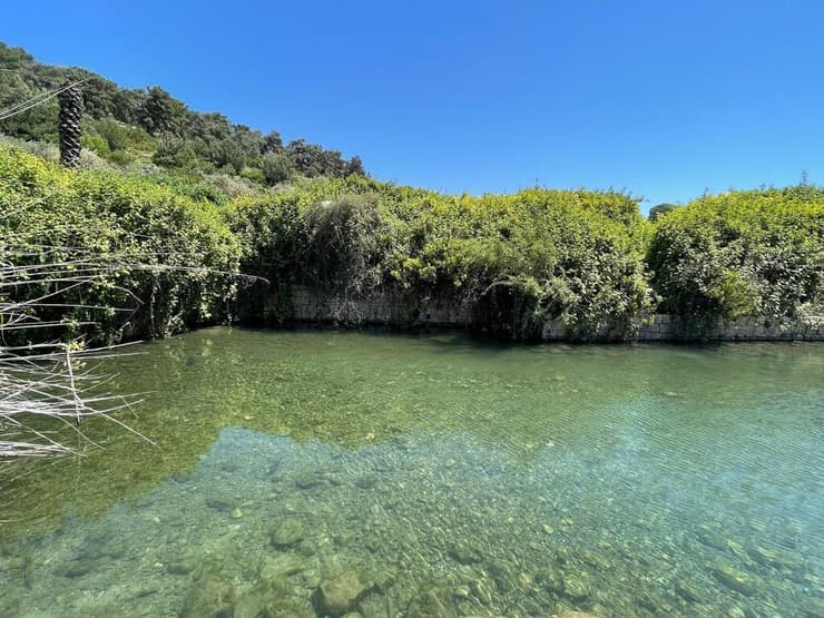 מעיין הסוסים