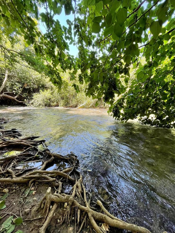 נחל נבי יהודה