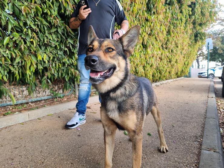 מישל (צילום: חבר לי) מישל