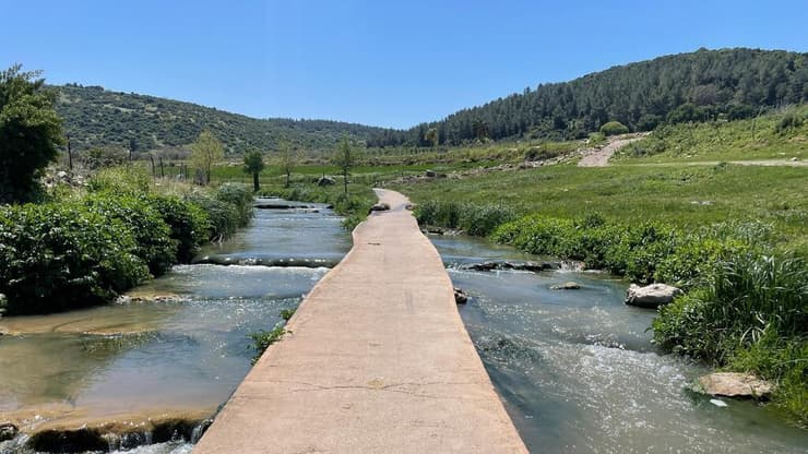 טיילת נחל ציפורי
