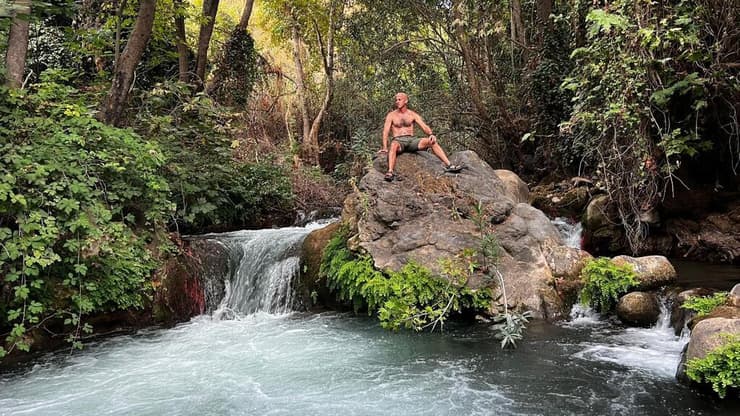 ארז דגן בבניאס