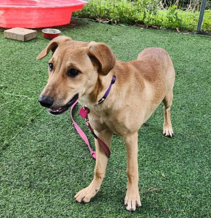 עזית (צילום: עמותת להתחיל מחדש) עזית