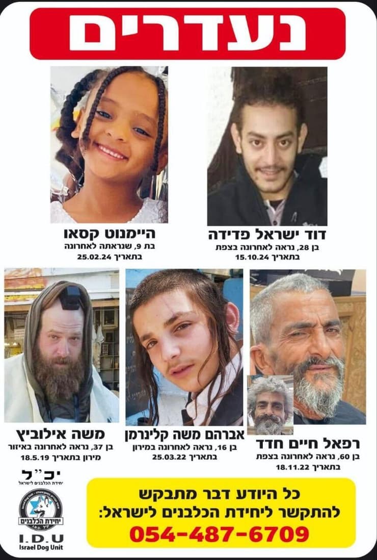 חיפושים אחר משה אליעזר אילוביץ, היימנוט קסאו, מוישי קליינרמן, רפאל חיים חדד ו דוד ישראל פדידה באזור מירון ו צפת