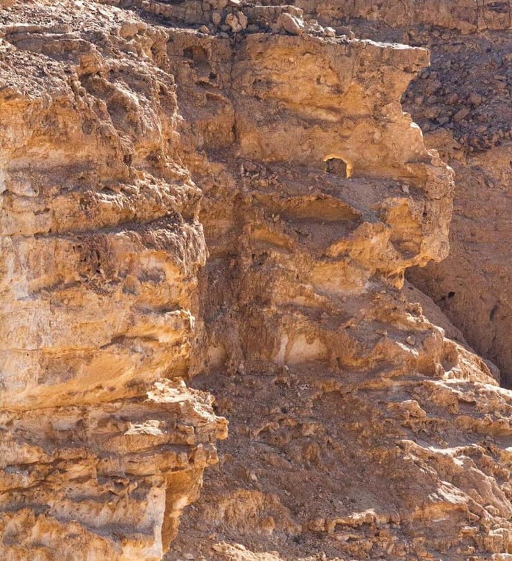 "הסנה הבוער" בכרכום