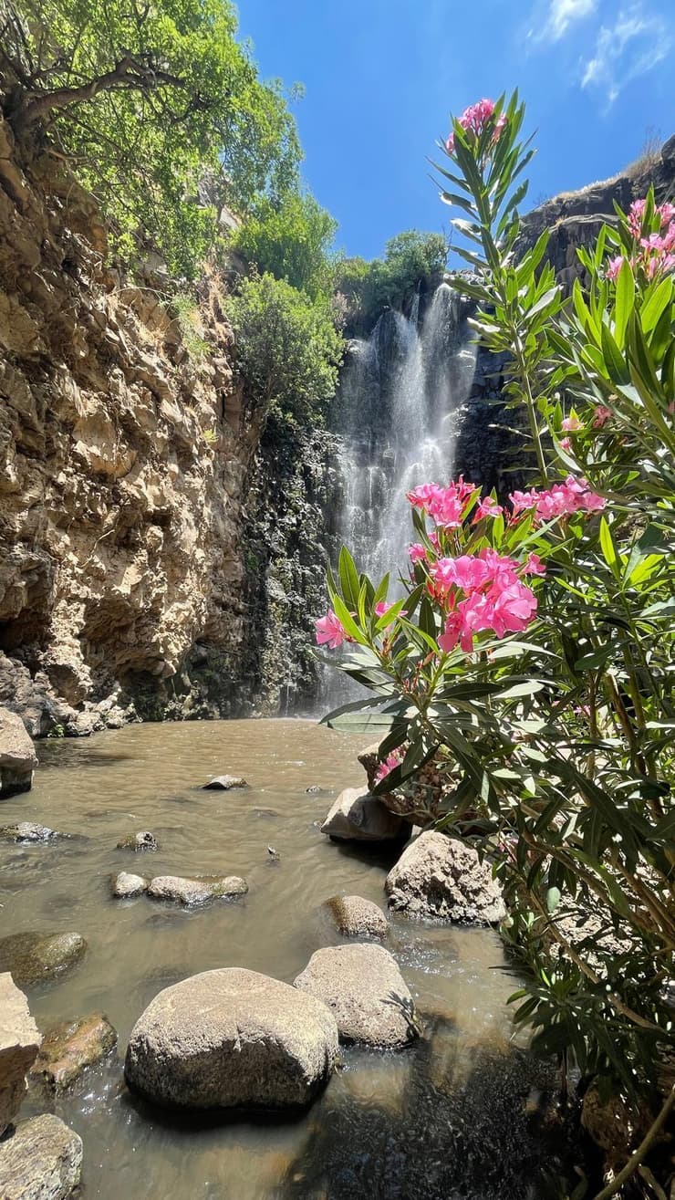 מפל ג'ילבון 