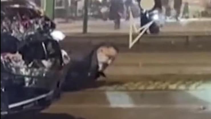 גרמניה פיגוע דריסה מעצר הדורס בשוק חג המולד