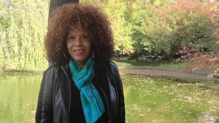 אלפא אנדרסון