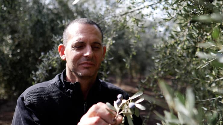 גל אשוש, מנהל בית בד "היוגב" (ירון שרון) גל אשוש, מנהל בית הבד "היוגב"