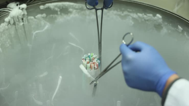 בנק הזרע איכילוב