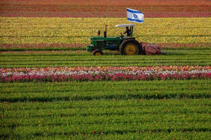 ישראל ממעוף הציפור
