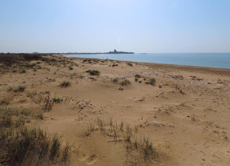 חוף ים דרומית לעתלית