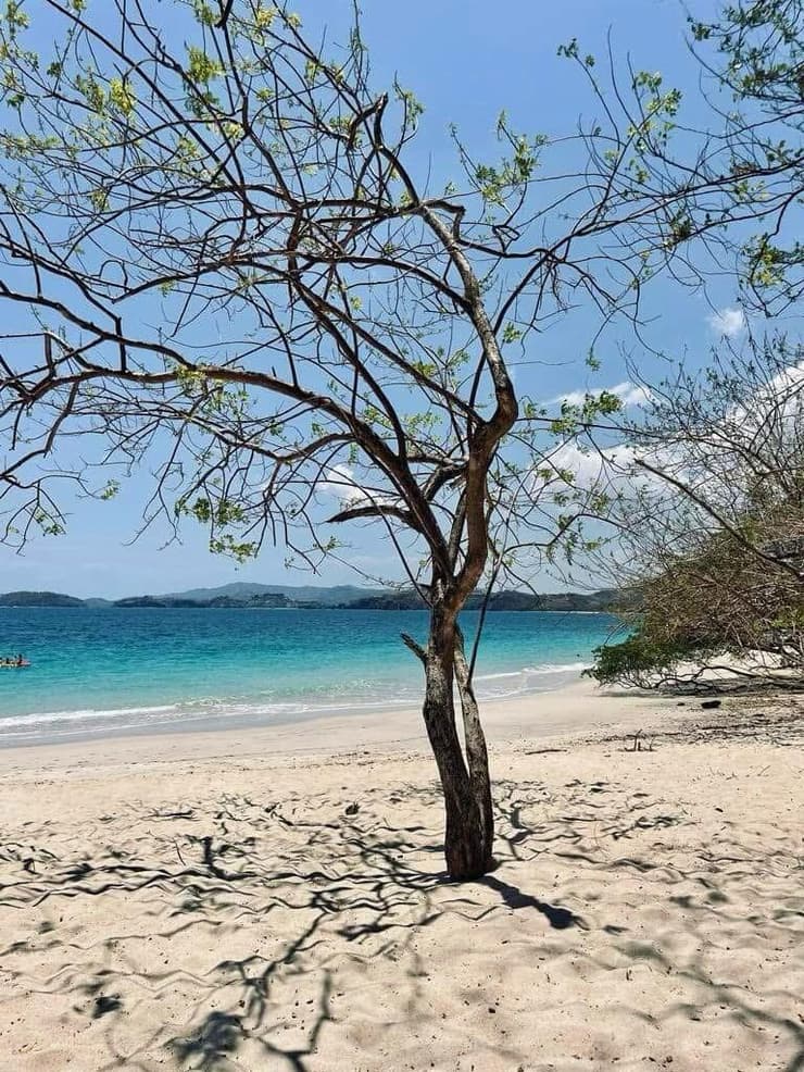 חופי גואנקסטה (צילום: אלן שטרסברג) טיול משפחתי בקוסטה ריקה