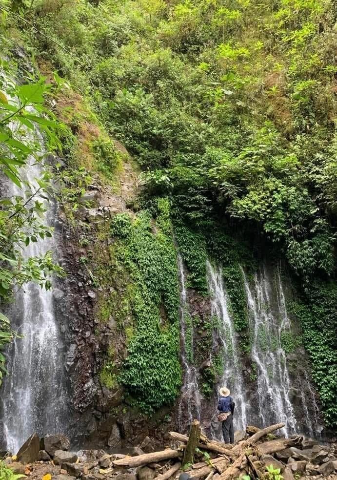 מפלי מונטוורדה (צילום: אלן שטרסברג) טיול משפחתי בקוסטה ריקה