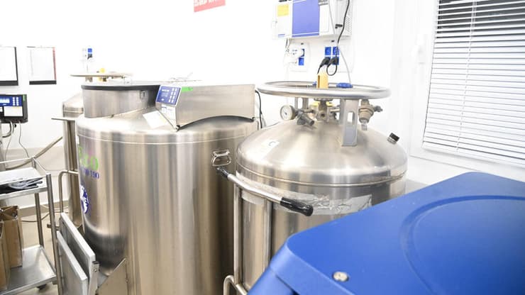 מעבדת זרע, בנק הזרע, אסותא